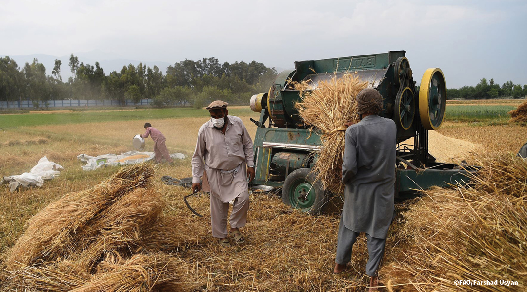 Forum humanitaire européen-Directeur général de la FAO expose les liens entre les conflits et l’insécurité alimentaire