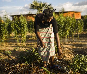 D’après un rapport de l’ONU, la faim dans le monde progresse : soutenez avec PARTAGE les Cantines du Monde pour la fin de la faim