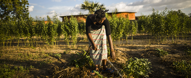 D’après un rapport de l’ONU, la faim dans le monde progresse : soutenez avec PARTAGE les Cantines du Monde pour la fin de la faim