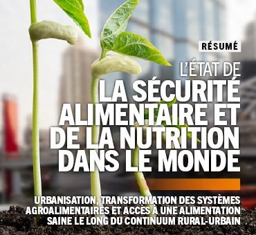 rapport-securite-alimentaire-mondiale